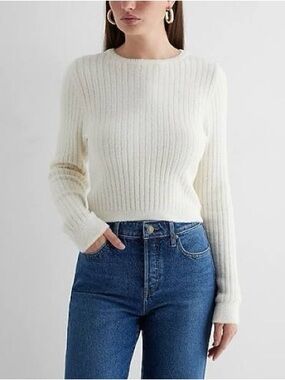NWT Express Fitted Ribbed Plush Knit Crew Neck Sweater